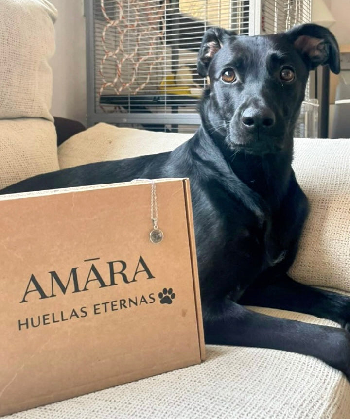 KIT AMĀRA- 
Colgante AMĀRA